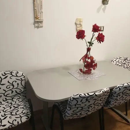 Studio Two Roses *