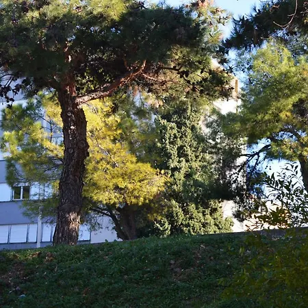 Studio Two Roses سبليت