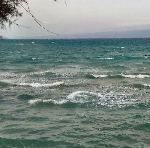 Apartment Studio Two Roses