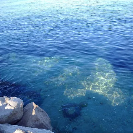 Studio Two Roses * Split