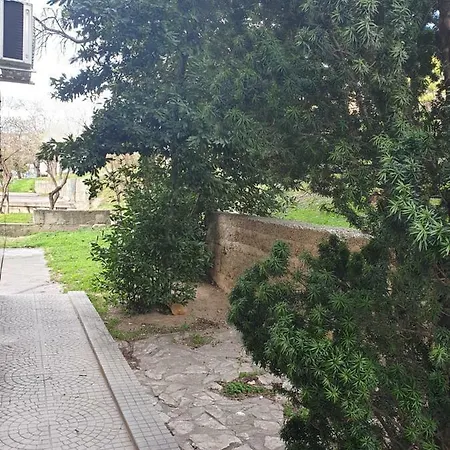 Apartment Studio Two Roses *