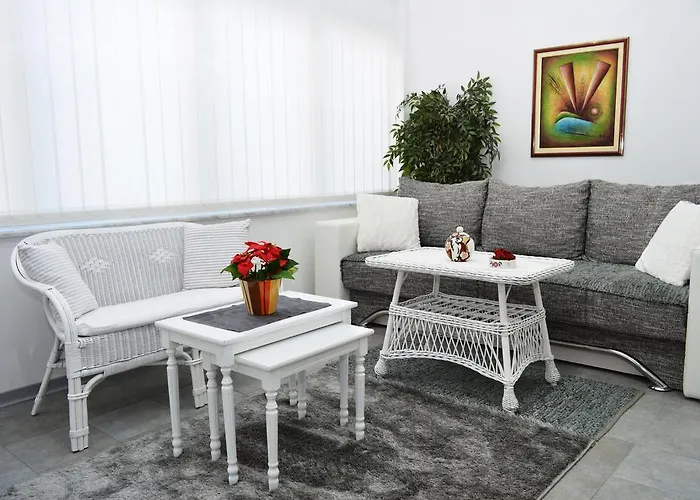 Studio Two Roses Split