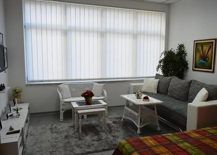 Daire Studio Two Roses Split