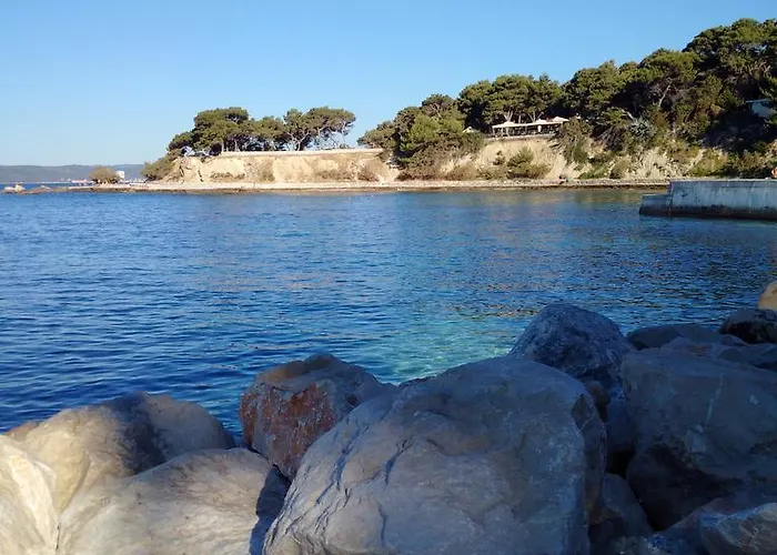 Daire Studio Two Roses Split