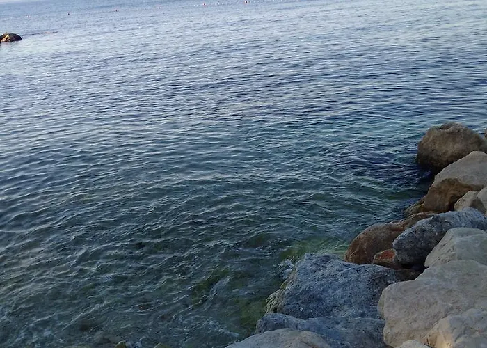 Studio Two Roses Daire