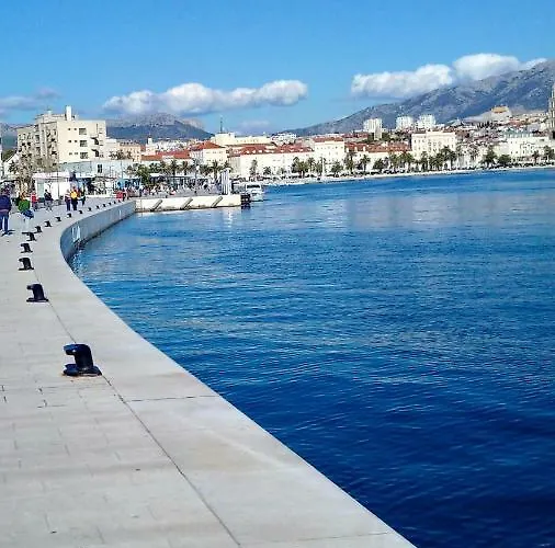 Daire Studio Two Roses Split